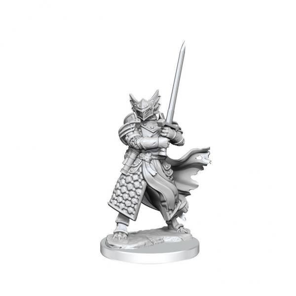 Dungeons & Dragons Frameworks Miniature Model Kit Dragonborn Paladin Male - De Dondersteen