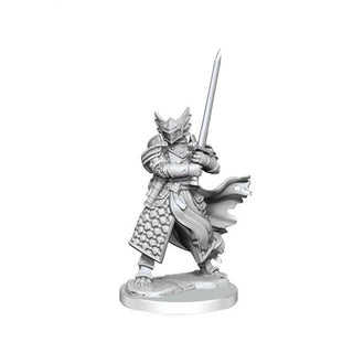 Dungeons & Dragons Frameworks Miniature Model Kit Dragonborn Paladin Male - De Dondersteen