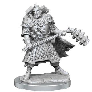 Dungeons & Dragons Frameworks Miniature Model Kit Human Fighter Male - De Dondersteen