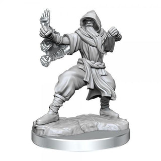 Dungeons & Dragons Frameworks Miniature Model Kit Human Monk Male - De Dondersteen