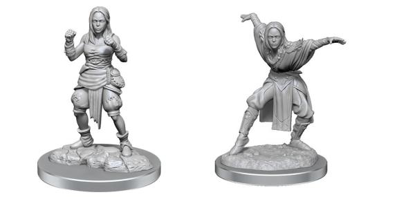 Pathfinder Deep Cuts: Half-Elf Monk Female - EN