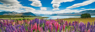 Lake Tekapo (1000) Panorama - De Dondersteen