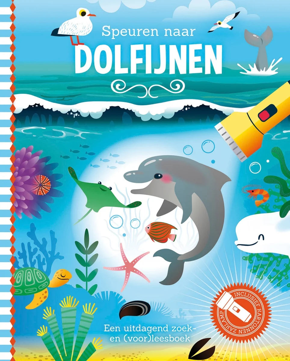 Speuren naar dolfijnen