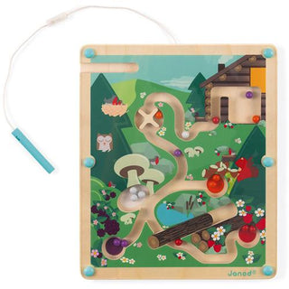 Magnetisch doolhof Bos - De Dondersteen