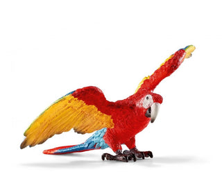 Ara - De Dondersteen