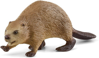 Bever - De Dondersteen