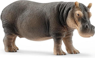 Nijlpaard - De Dondersteen