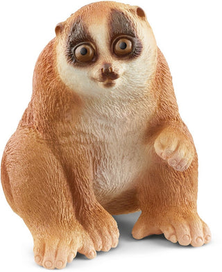 Plompe lori - De Dondersteen