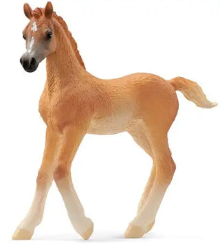 Schleich Arabisch veulen – elegant en speels - De Dondersteen