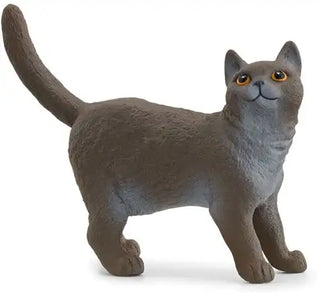 Schleich Farm World Britse korthaar – Schattige kat met blauwgrijze vacht - De Dondersteen