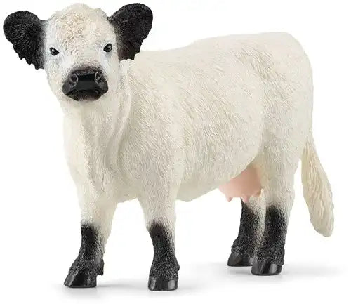 Schleich Farm World Galloway Koe – Schattige witte koe met zwarte oren - De Dondersteen