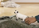 Switch Schleich Farm World Galloway Koe – Schattige witte koe met zwarte oren - De Dondersteen 2 image
