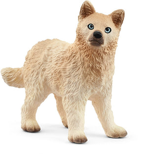 Schleich Wild Life Arctic Wolf Cub - De Dondersteen