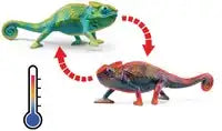 Schleich Wild Life chameleon - De Dondersteen