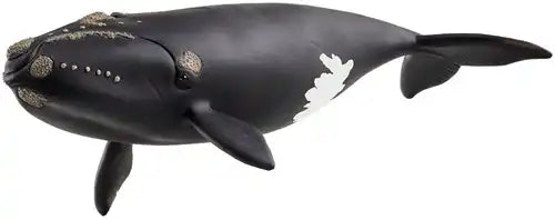 Schleich Wild Life Noord-Atlantische walvis