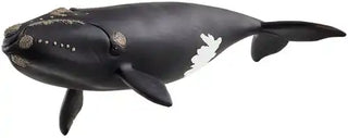 Schleich Wild Life Noord-Atlantische walvis - De Dondersteen
