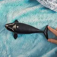 Schleich Wild Life Noord-Atlantische walvis - De Dondersteen