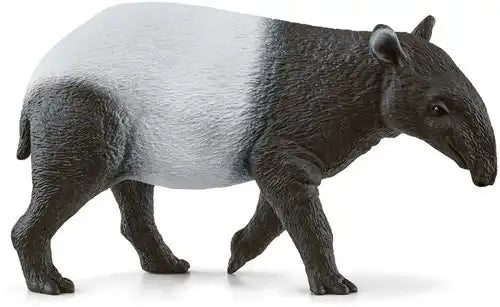 Tapir