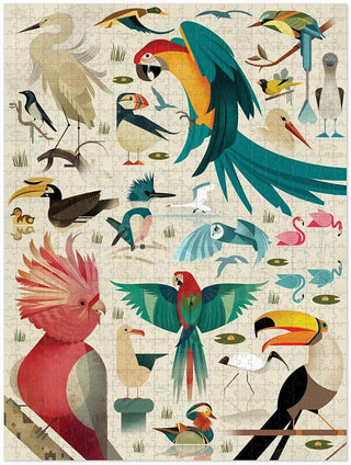 World of Birds (750) - De Dondersteen