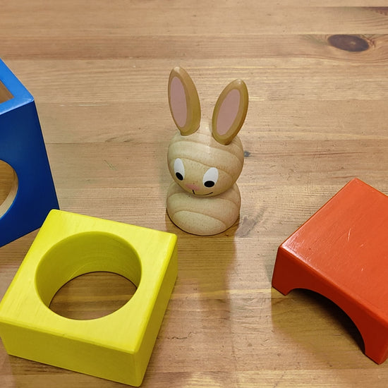 Bunny Boo