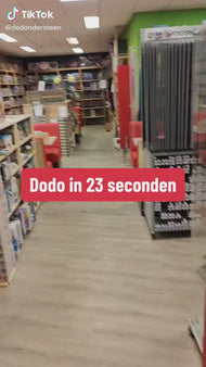 Dodo