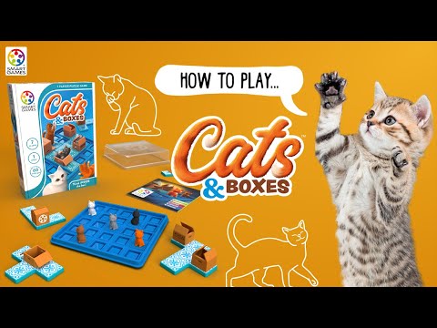 Cats & Boxes