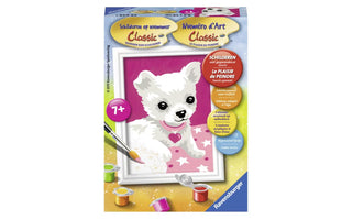 Chihuahua - De Dondersteen