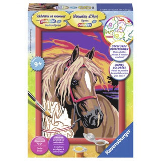 Droompaard - De Dondersteen