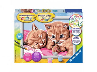 Katten Schilderen op nummer - De Dondersteen