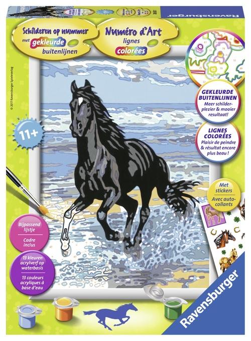 Paard in de branding