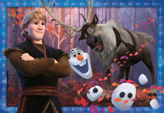 Disney Frozen 2 - IJzige Avonturen (2 x 24) - De Dondersteen
