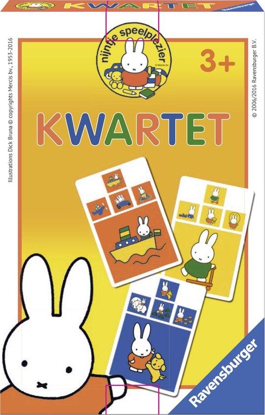 Nijntje ontdekt de wereld kwartet - De Dondersteen
