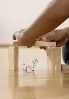 Schleich Farm World Bichon Frisé – Schattige knuffelhond - De Dondersteen