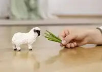 Schleich Blacknose Sheep – Walliser Schwarznase - De Dondersteen