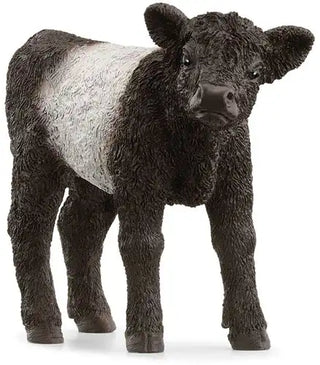 Schleich Farm World Galloway kalf – Schattig boerderijdier - De Dondersteen