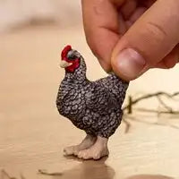 Schleich Plymouth Rock Kip – Farm World Speelfiguur - De Dondersteen