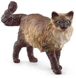 Schleich Ragdoll Kat – Elegant Farm World Speelfiguur - De Dondersteen