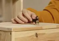 Schleich Farm World Teckel – Actieve speelhond - De Dondersteen