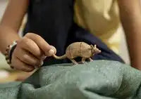 Schleich Wild Life Gordeldier – Uniek Speelfiguur - De Dondersteen