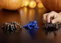 Schleich Poison Dart Frog – Wild Life - De Dondersteen