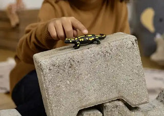 Schleich Vuursalamander – Wild Life Amfibie - De Dondersteen