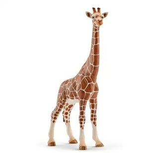Schleich Wild Life Wijfjesgiraf - De Dondersteen