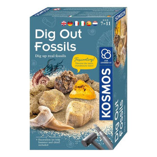 Dig Out Fossils - De Dondersteen