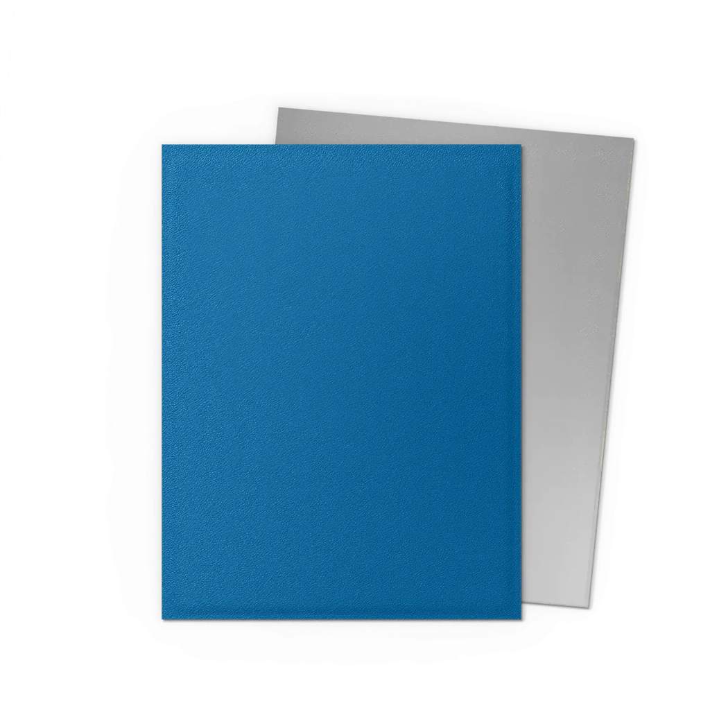 SLEEVES DS Matte Dual Cobalt & Silver (100)