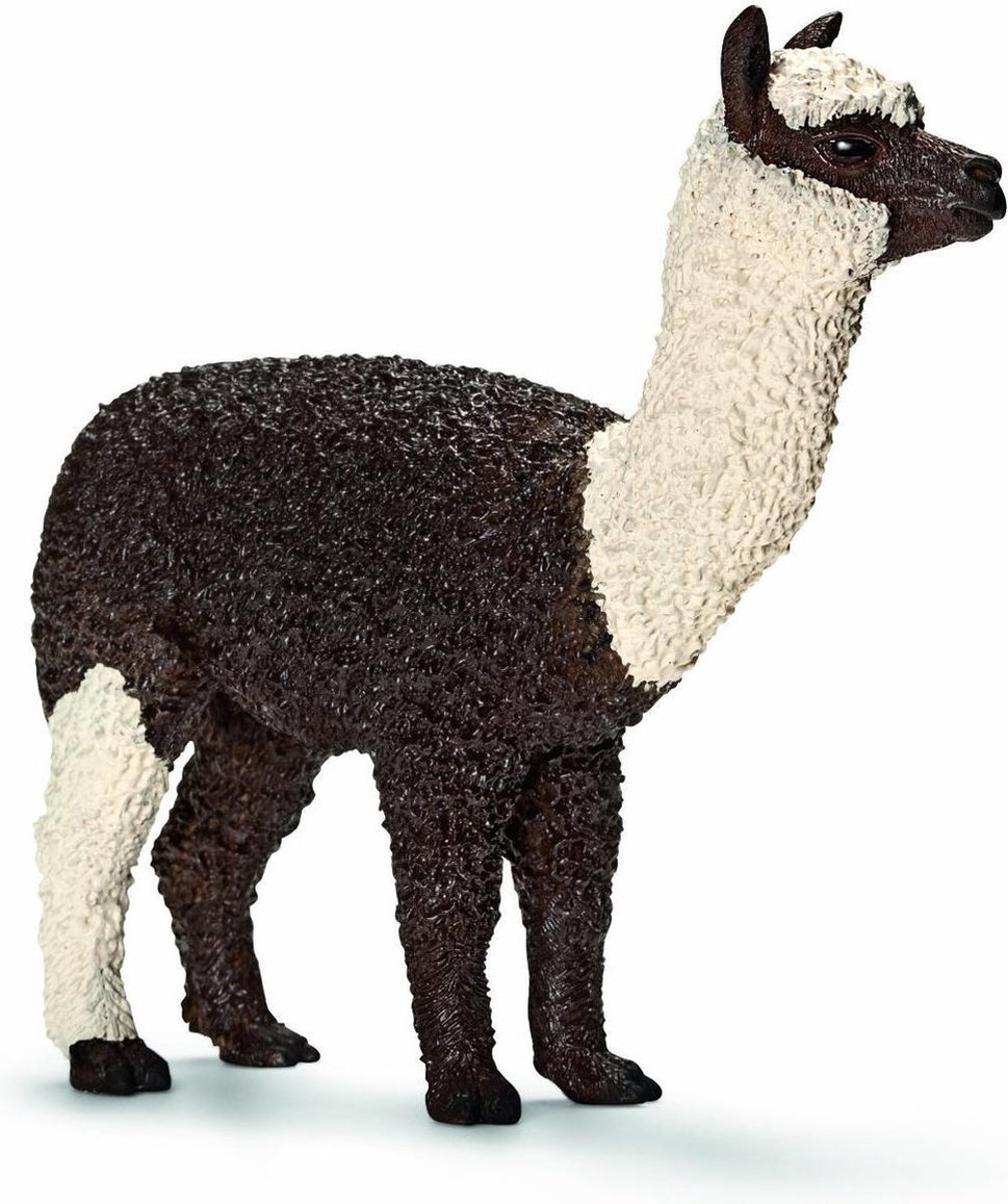 Alpaca Vrouwtje