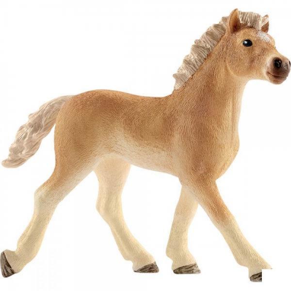 Haflinger Veulen