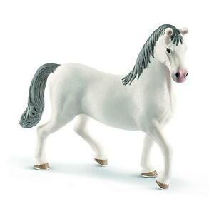 Lipizzan Hengst