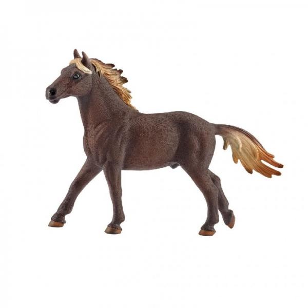 Mustang Hengst - De Dondersteen