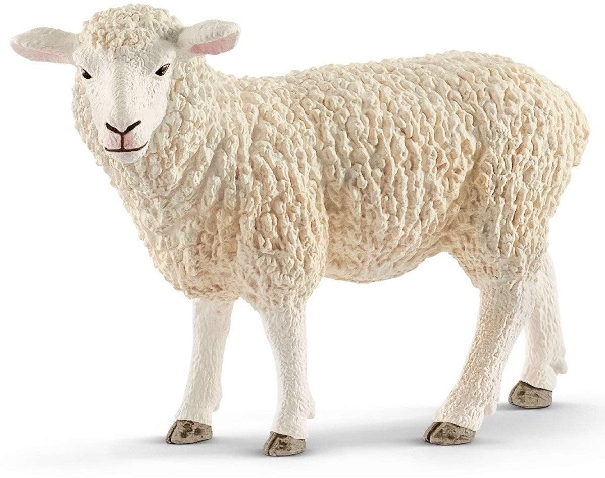 Schaap - De Dondersteen