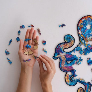 Unidragon Wooden Puzzle Magnetic Octopus M - De Dondersteen